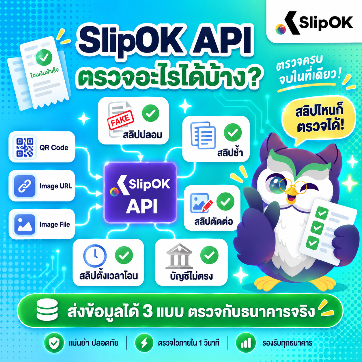 API เช็คสลิป โอนเงิน ที่ SlipOK เช็กอะไรได้บ้าง?